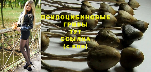 соль ск Заволжск