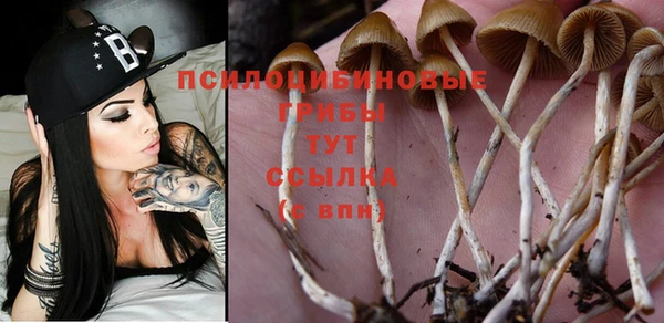 прущая мука Заводоуковск