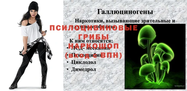 шишки Ельня